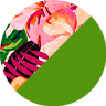 S26-652C-HIBISCO