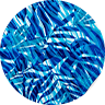 S26-654-LAGUNA